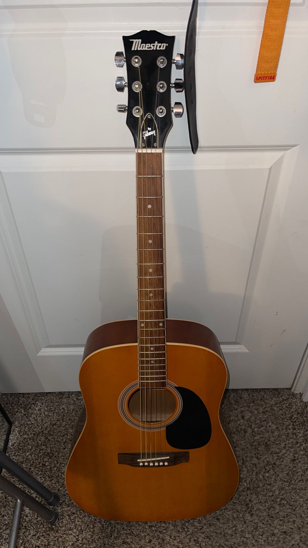 Maestro By Gibson