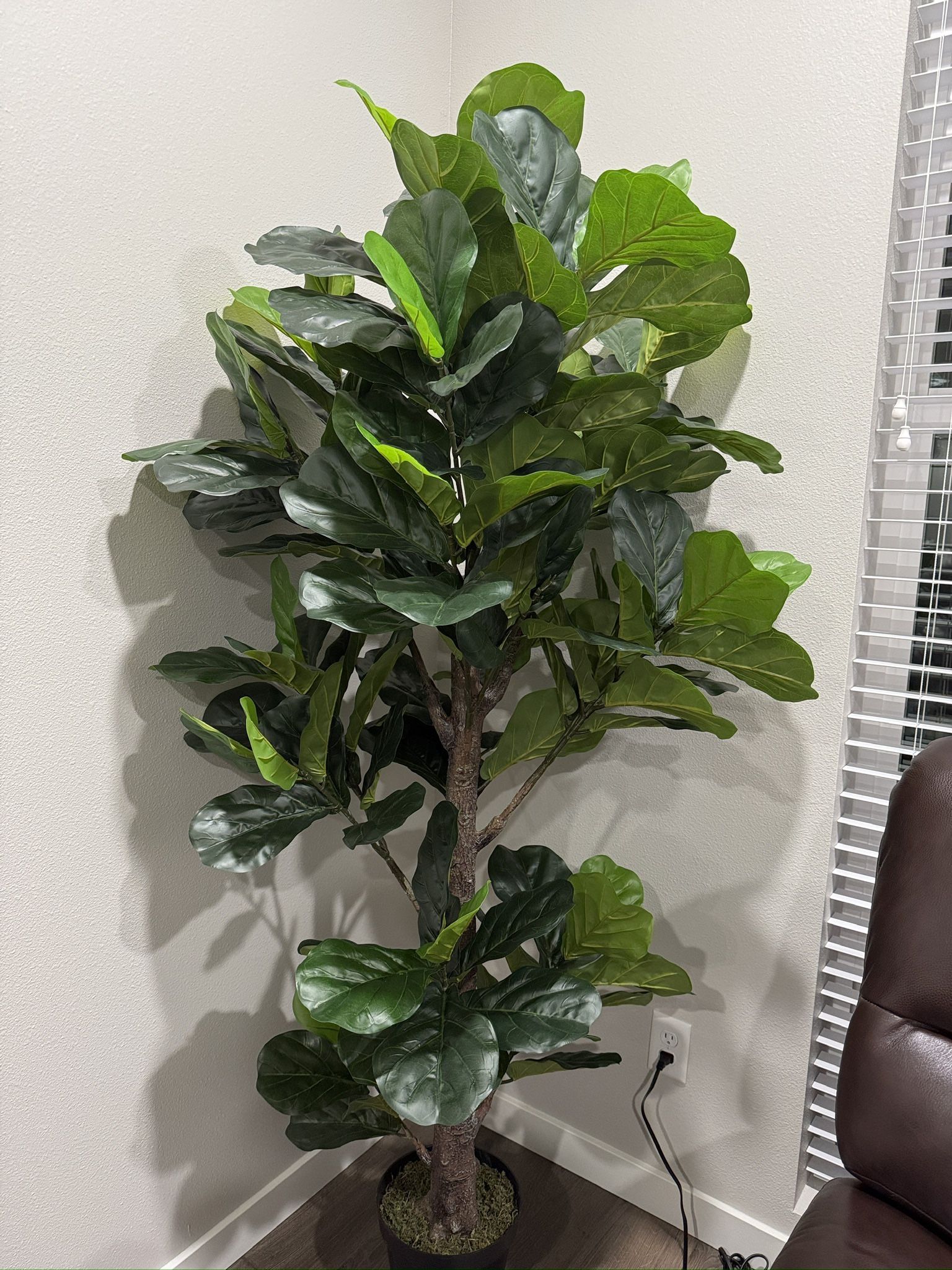 A days 6ft Artificial Fiddle Leaf