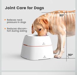 Brand new elevated dog bowl set