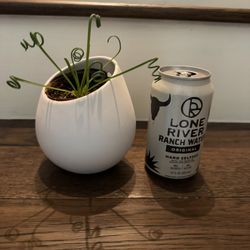 Frizzle Sizzle In Nice Ceramic Planter Pot