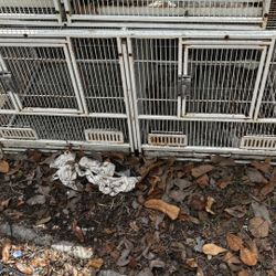 Cages Have Different Sizes And Different Prices