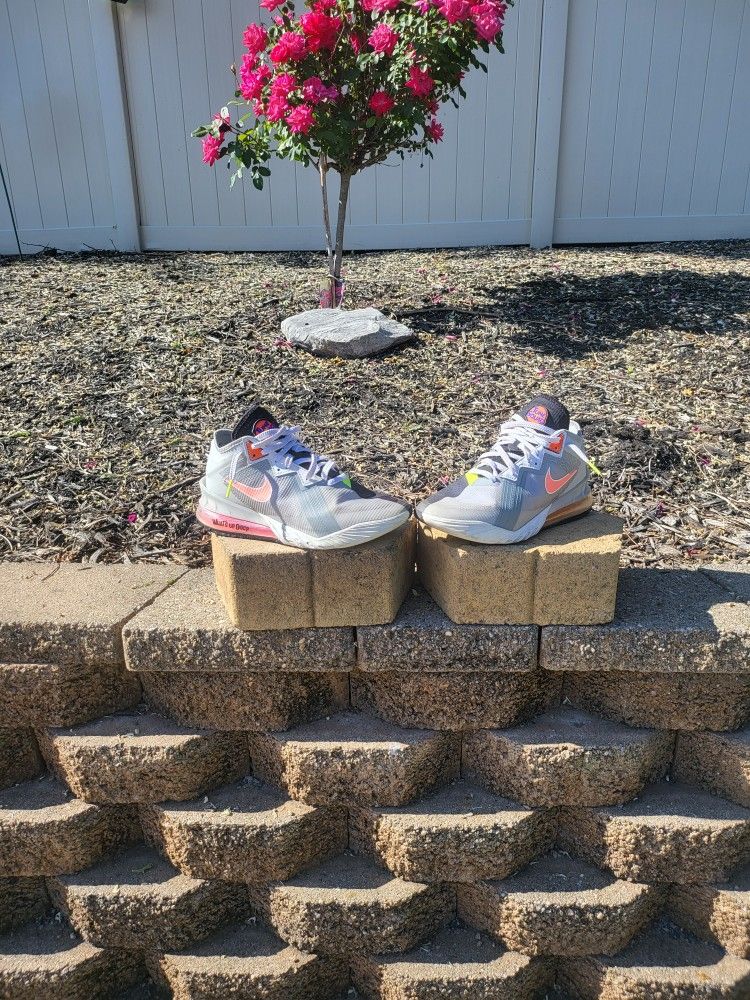 Lebron Space Jam Bugs Bunny Size 9.5