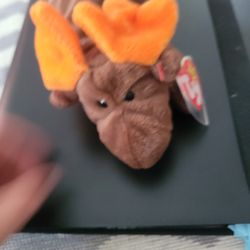 Chocolate The Moose Sealed Tag 