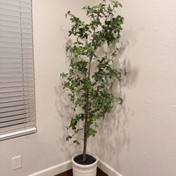 Hearth And Hand Faux Potted Plant 6’