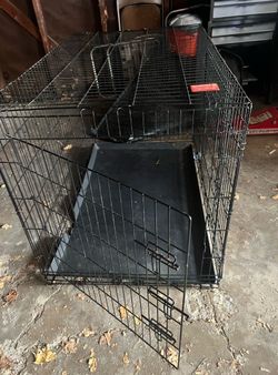 Large dog cage