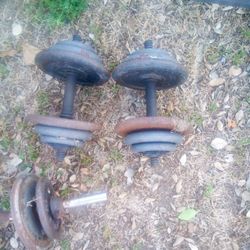 Dumbbells And Curl Bar