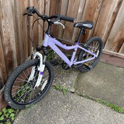 20” Diamondback Mountain Bike in Good Shape
