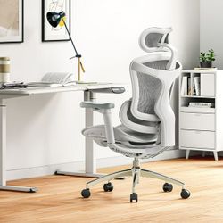 Ergonomic chair in the box