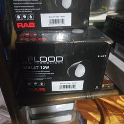 RAB bullet 12w Led Flood Light