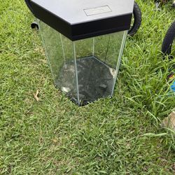 Fish Tank 