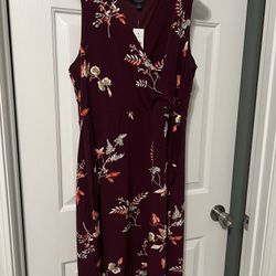 Ann Taylor Dress NWT
