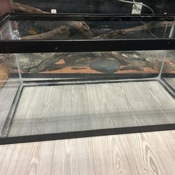 Large Fish Or Reptile Tank