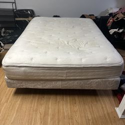 The Queen Mattress Bed All
