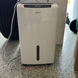 Waykar Dehumidifier