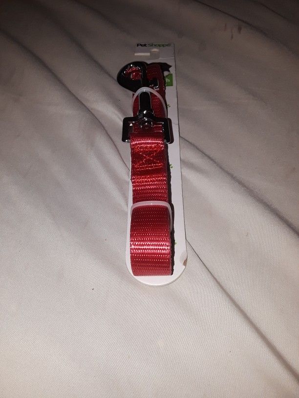 Dog Leash