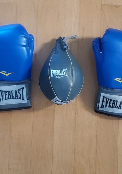 Everlast 14oz Boxing Gloves And Speed Bag