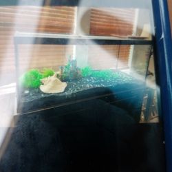 75 Gallons Fish Tank