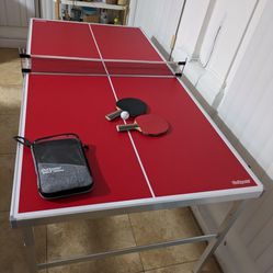 Ping Pong Table