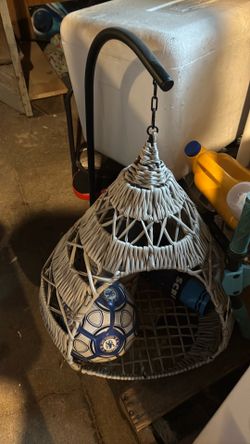 Dog swing