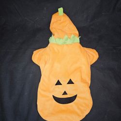 NWOT Pumpkin Dog Costume Size Small