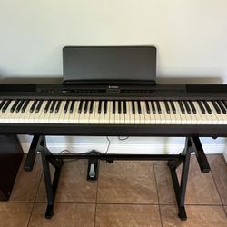 Donner Keyboard w/ Stand