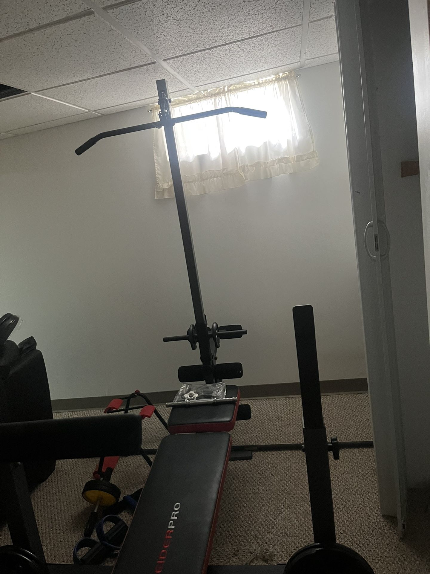 Work Out Bench