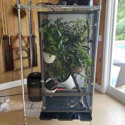 Chameleon Dragon Strand Cage 