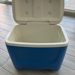 Igloo Cooler