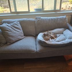 Free Couch