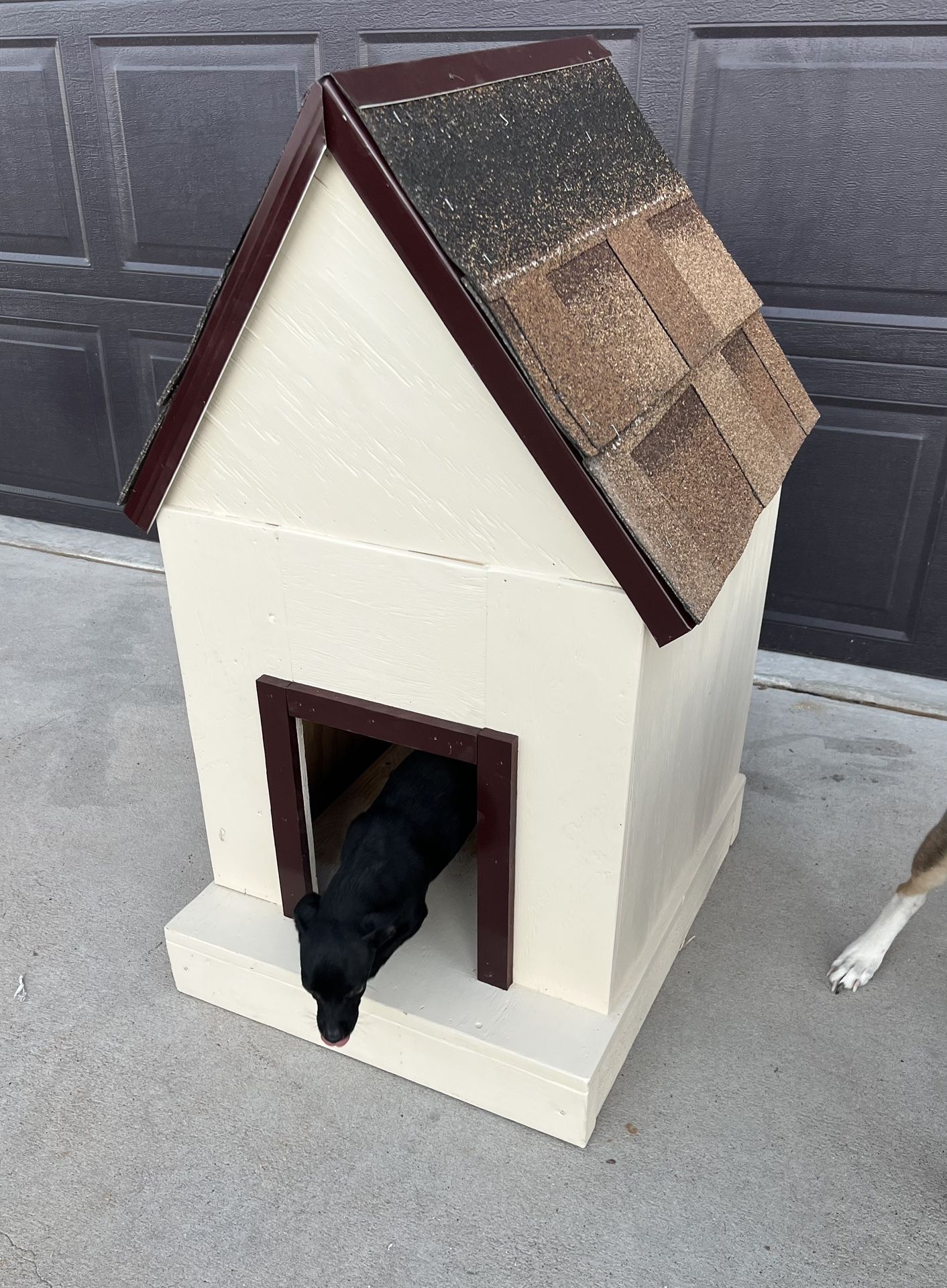 New Dog House (Small dogs)