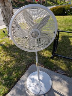 Lasko pedestal fan