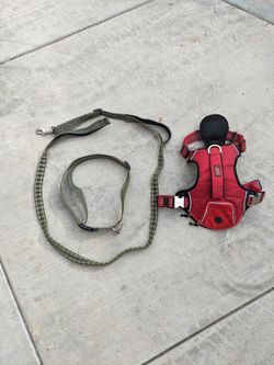KONG Collar, Leash, And Harness XL