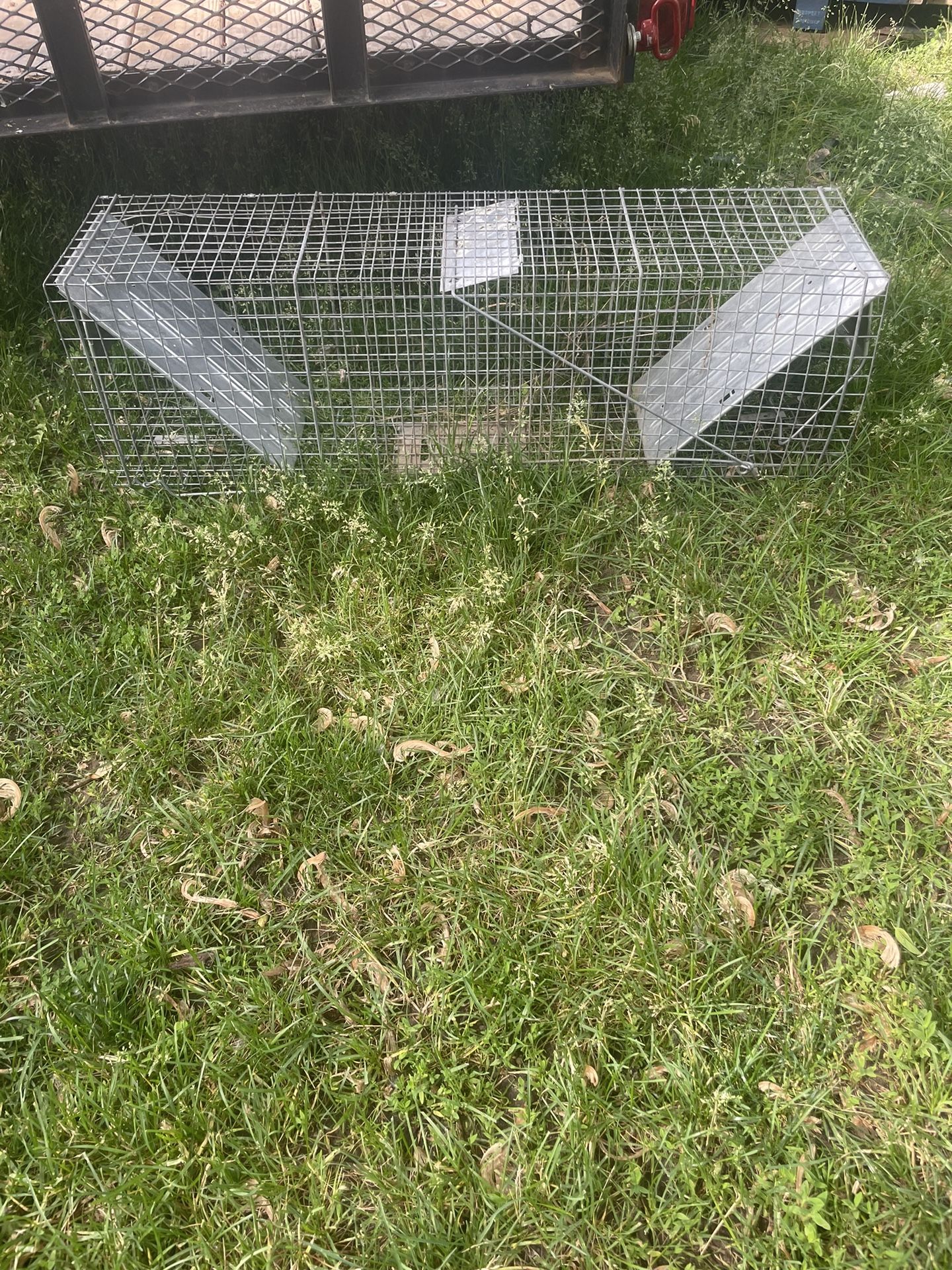 Critter Cage