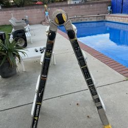 Gorilla Ladder Type 1A