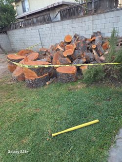 Free wood