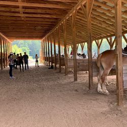Horse Cover / Stable / Pavilion 