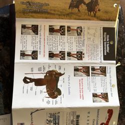 Saddle Circle Y Flex 2 , 16”