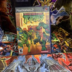 Teenage Mutant Ninja Turtles PS2 Game