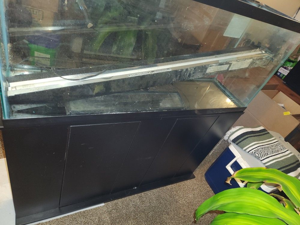 55 Gallon Fish Tank And Stand