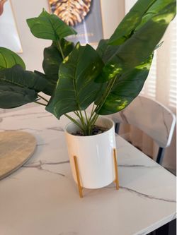 Fake Plant