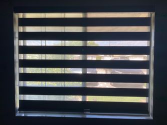 Zebra Roller Window Blinds
