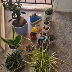 All Plants