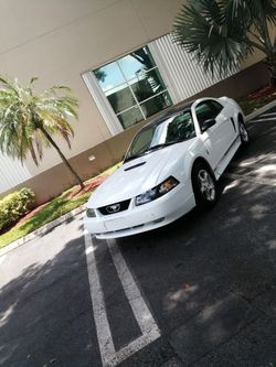 2000 Ford mustang $2000