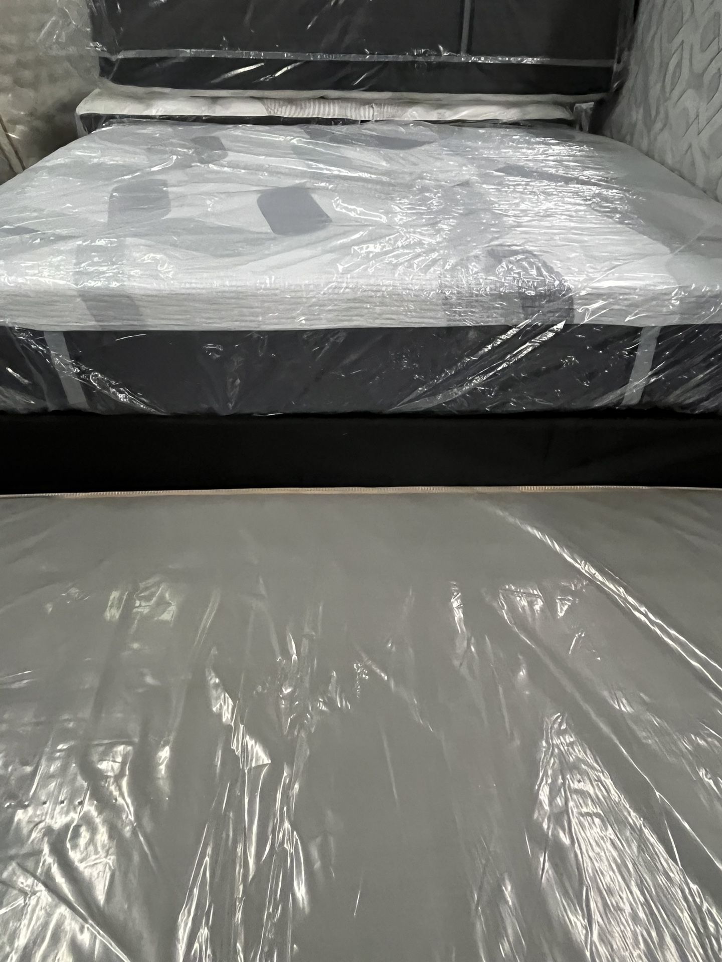 Queen Sealy Mattress