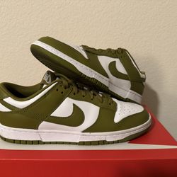 USED - Size 10.5 Nike Dunk Low Retro Pacific Moss