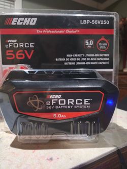 e Force  battery 56V