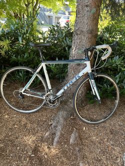 Trek Lexa WSD