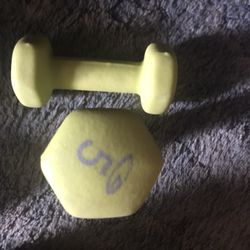 Lnew Set Of Hand Weights Only $10 Firm