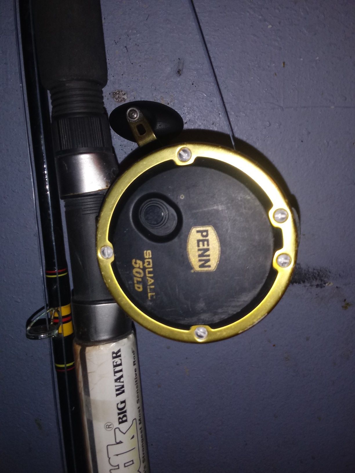 Fishing rial 10 foot ugly stick 60 pound test line on 80 lb test line penn reil