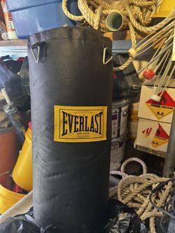 Everlast 50 Pound Punching Bag